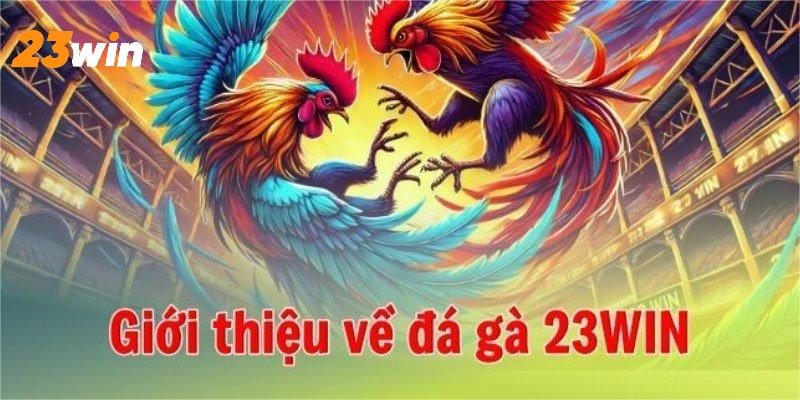 Đá gà 23WIN thỏa sức bùng nổ đam mê cùng các chiến kê